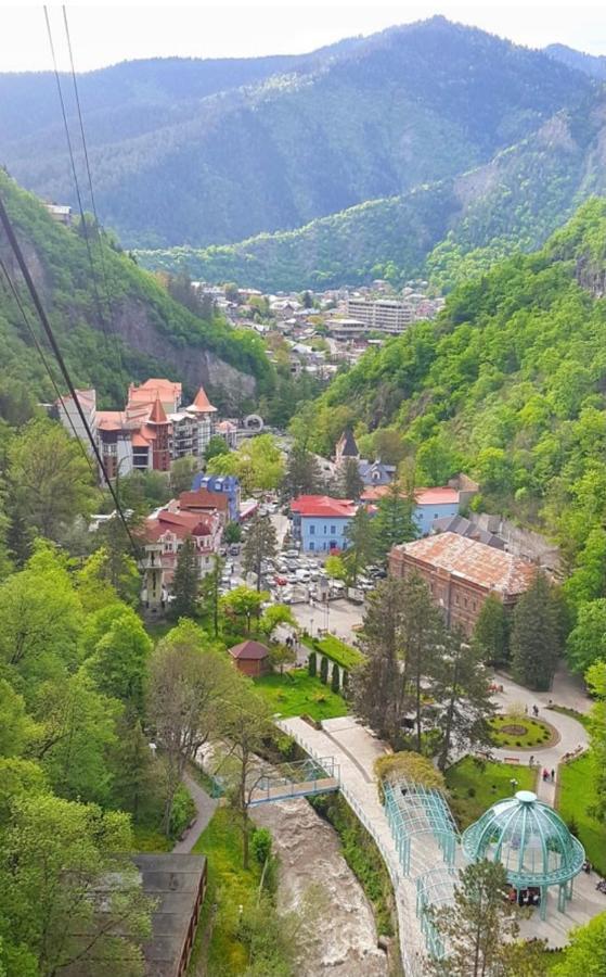 Lizielene Διαμέρισμα Borjomi Εξωτερικό φωτογραφία