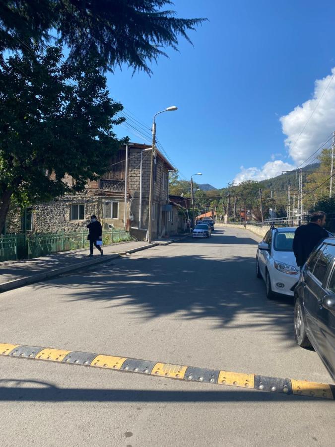 Lizielene Διαμέρισμα Borjomi Εξωτερικό φωτογραφία